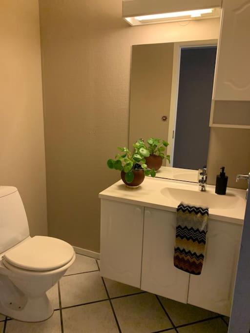 Sentrumsnaer Leilighet Med 3 Soverom. Bergen Ngoại thất bức ảnh